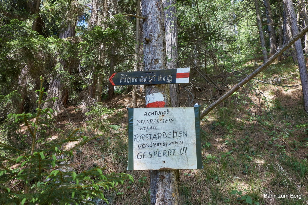 Hohe Wand: Pfarrersteig