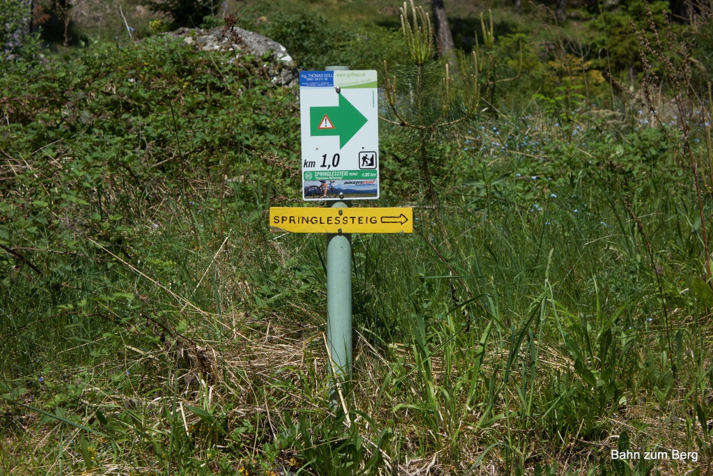 Hohe Wand: Springlessteig