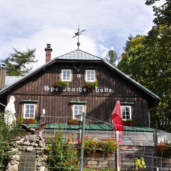 Foto: Clemens Novak