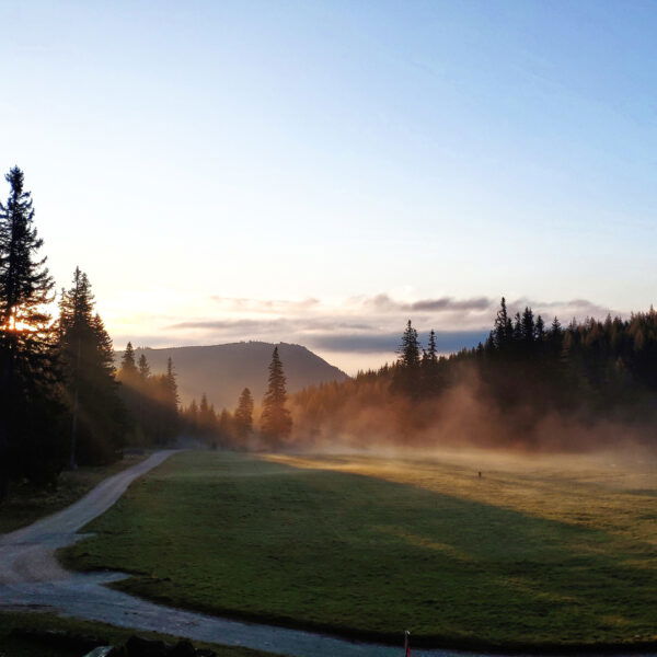 Morgensonne. Foto: Birgit Matzinger