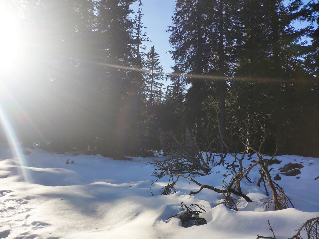 Schnee soweit das Auge reicht. Foto: Birgit Matzinger