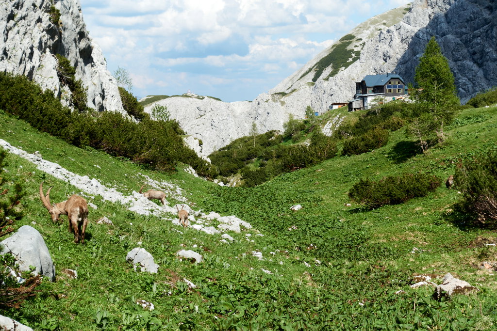 Die alte Voisthaler Hütte. Foto Veronika Schöll