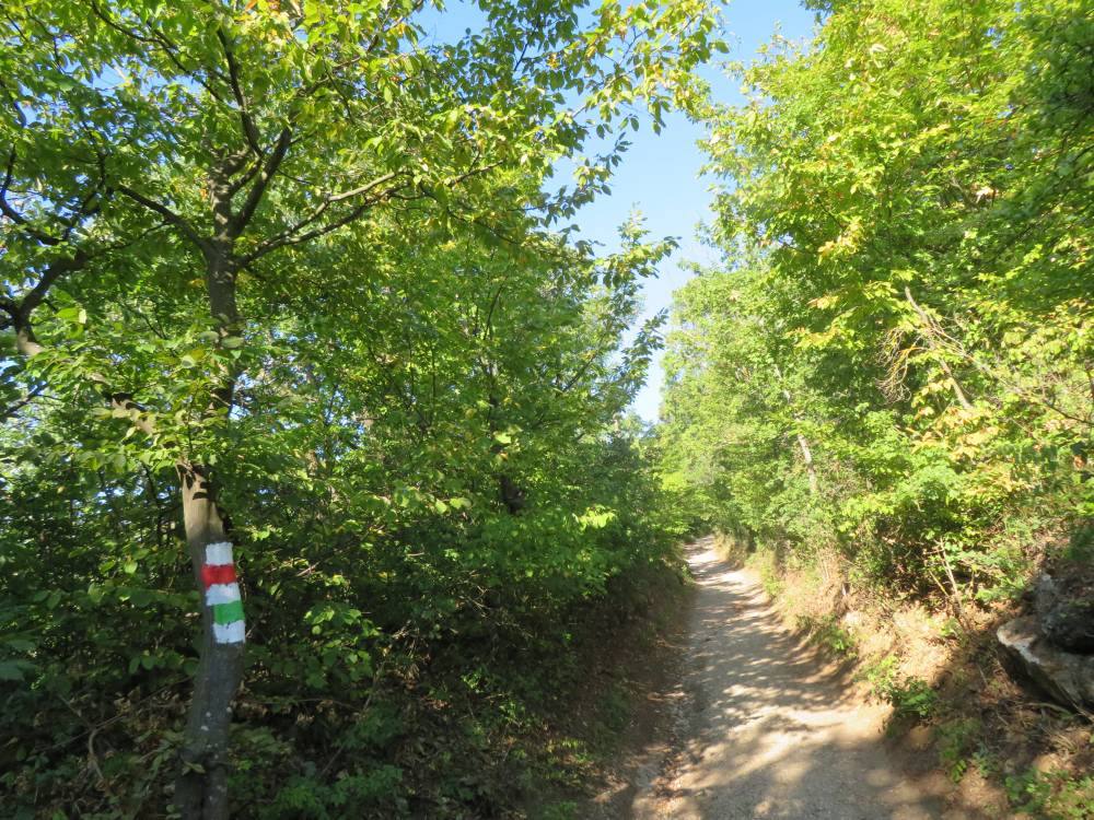 Kegelstattweg. Foto: Pedro Labut
