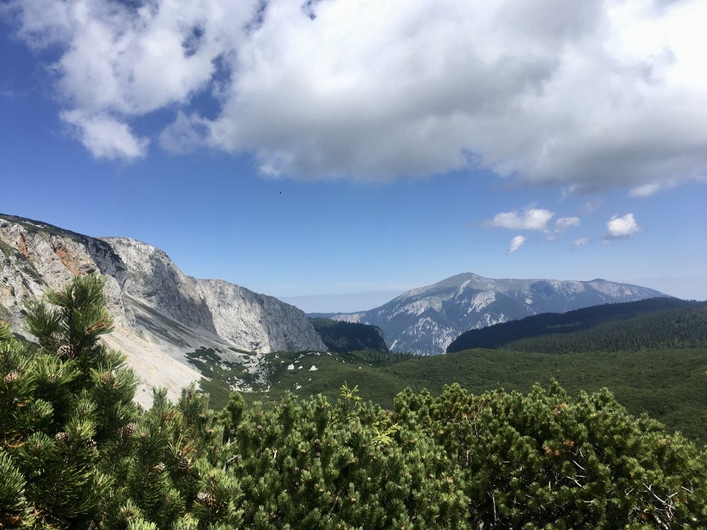 Schneeberg in Sicht. Foto Veronika Schöll