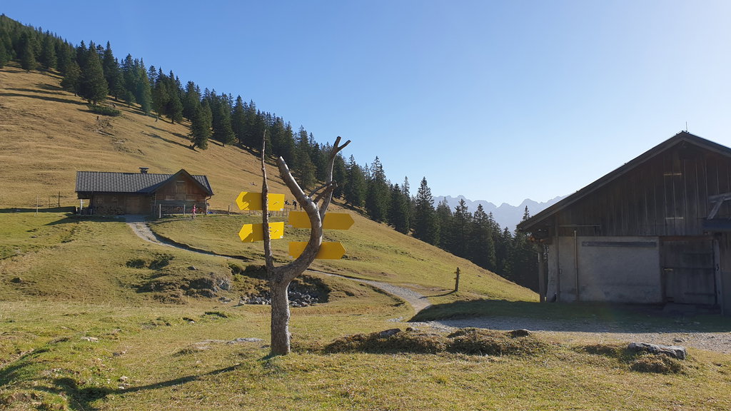 Almgebiet. Foto: Markus Büchler