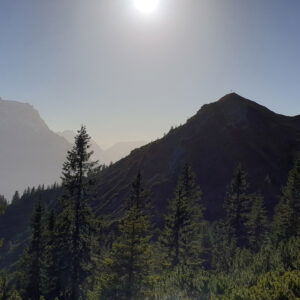 Hoher Ziegspitz über Stepbergalm
