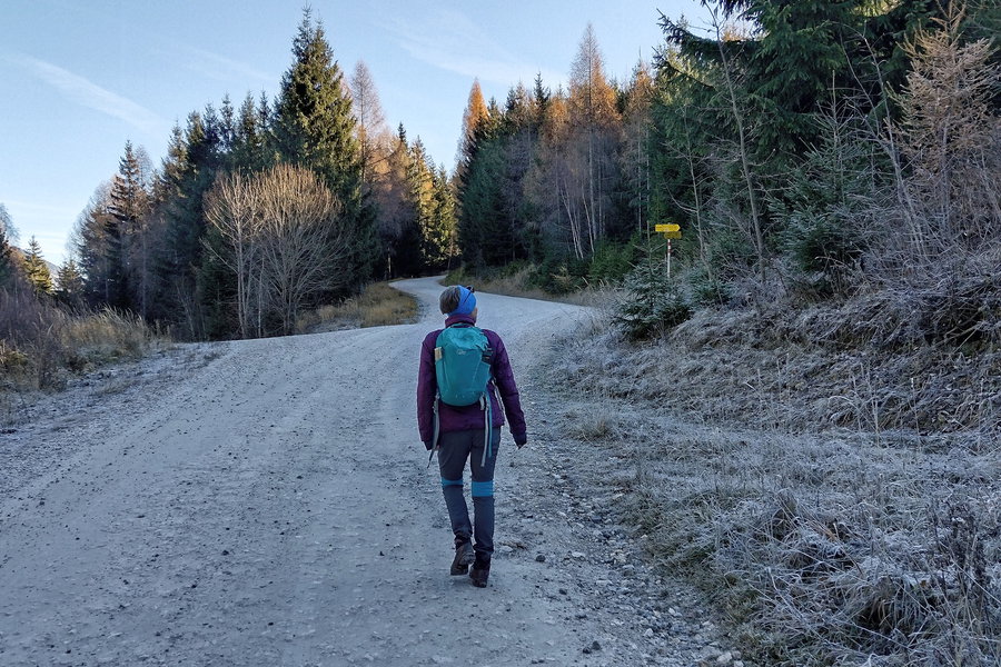 Abzweigung nach rechts, von der Schotterstraße auf einen Waldpfad. Foto: Martin Heppner