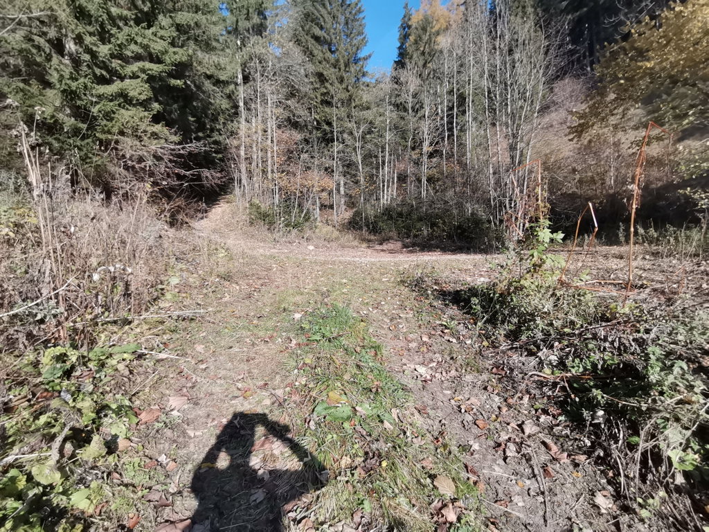 Achtung, hier bitte nach der großen Wiese nach rechts abbiegen.. Foto Veronika Schöll