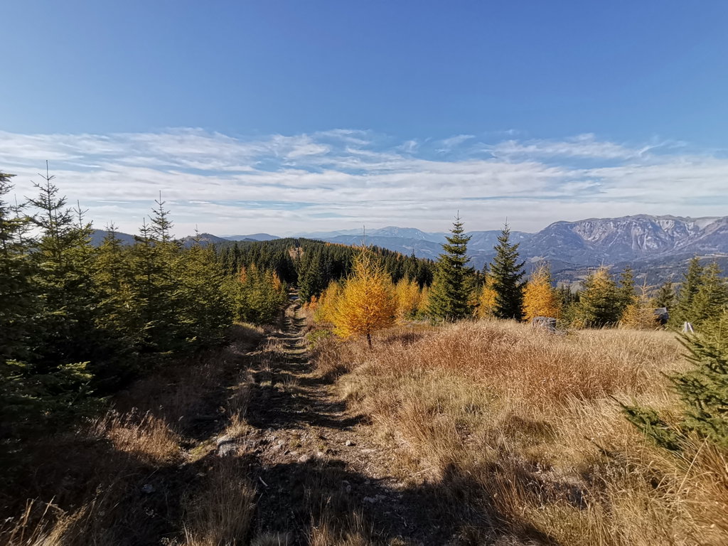 Weg zum Beeralplkopf. Foto Veronika Schöll