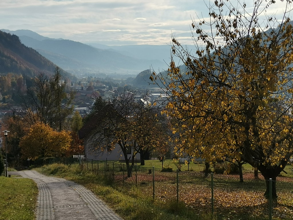 Zum Bahnhof Mürzzuschlag. Foto Veronika Schöll