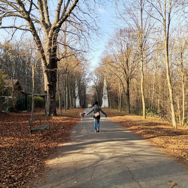 Stadtwanderweg 3 Neuwaldegg