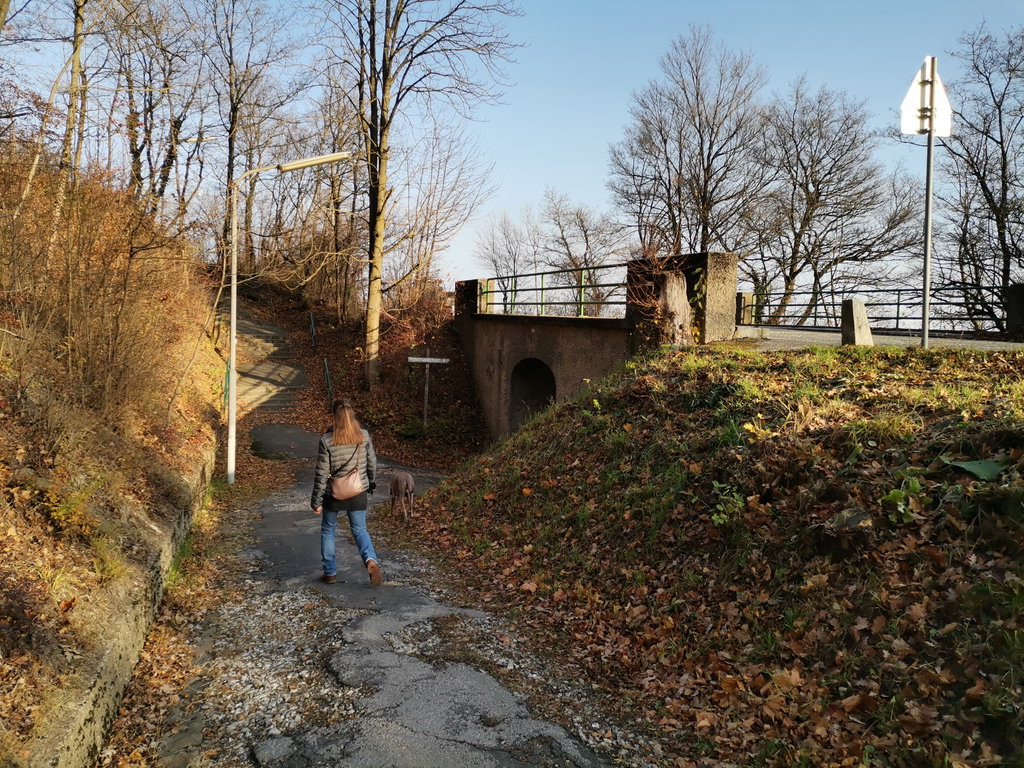 Falls man im Häuserl am Roan einkehren möchte, geht es an der Brücke vorbei, sonst unten durch.Foto Veronika Schöll