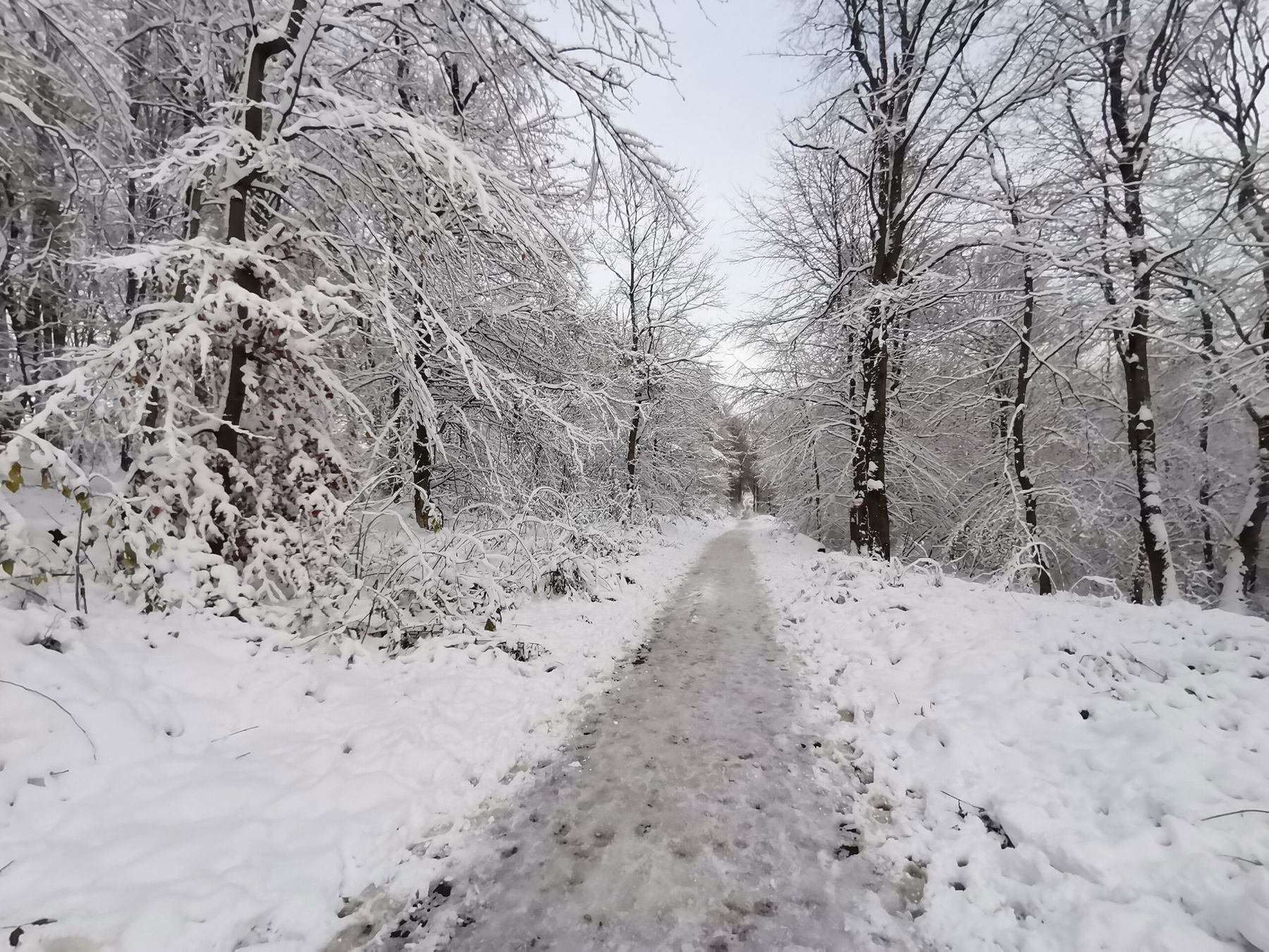 Vom Kasgraben nach Sievering, weiter als man denkt