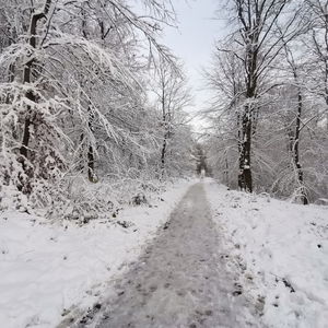 Vom Kasgraben nach Sievering, weiter als man denkt