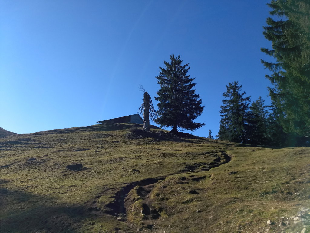 Kurz unterhalb der Baumgartenalm – nicht mehr weit zum Gipfel. Foto: Nikolaus Vogl