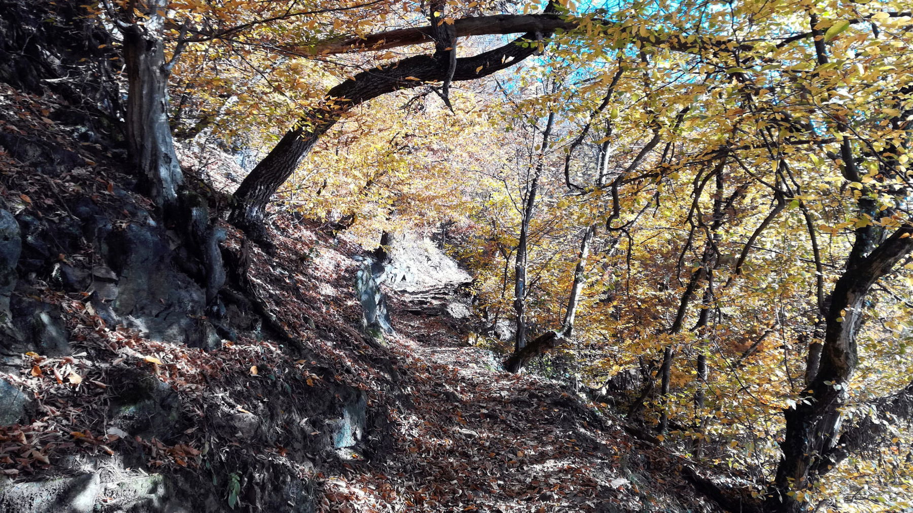 Unterer Längsweg. Foto: Veronika Lehner