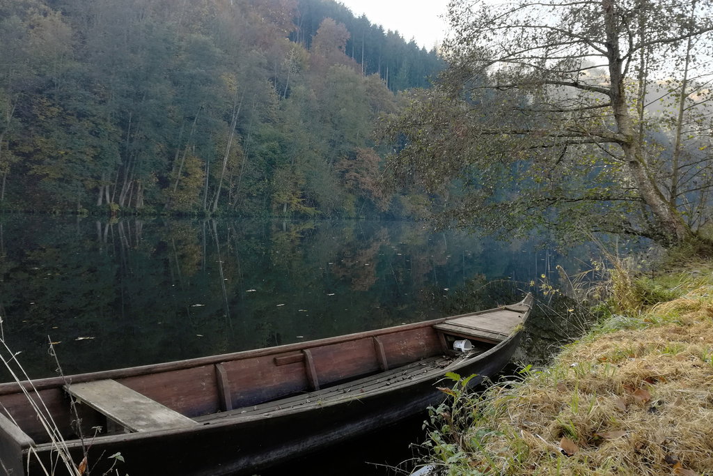 Zille. Foto: Veronika Lehner