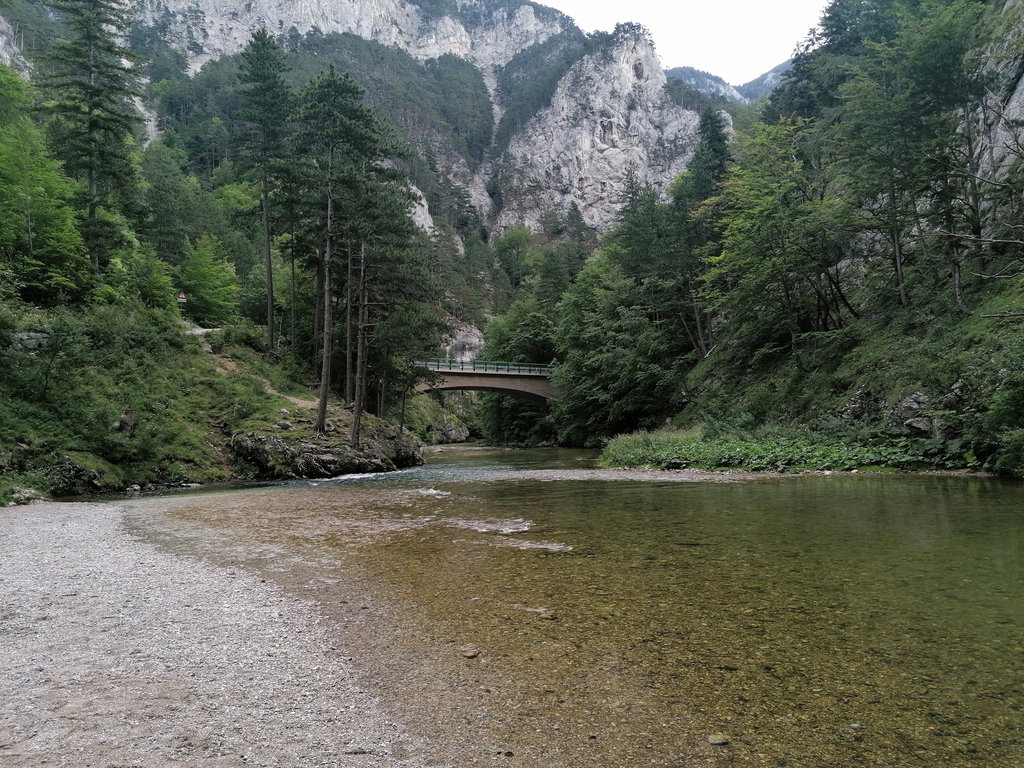 Die Schwarza besticht durch ihr klares Wasser und die unzähligen Badeplätze. Foto: Sarah Pallauf