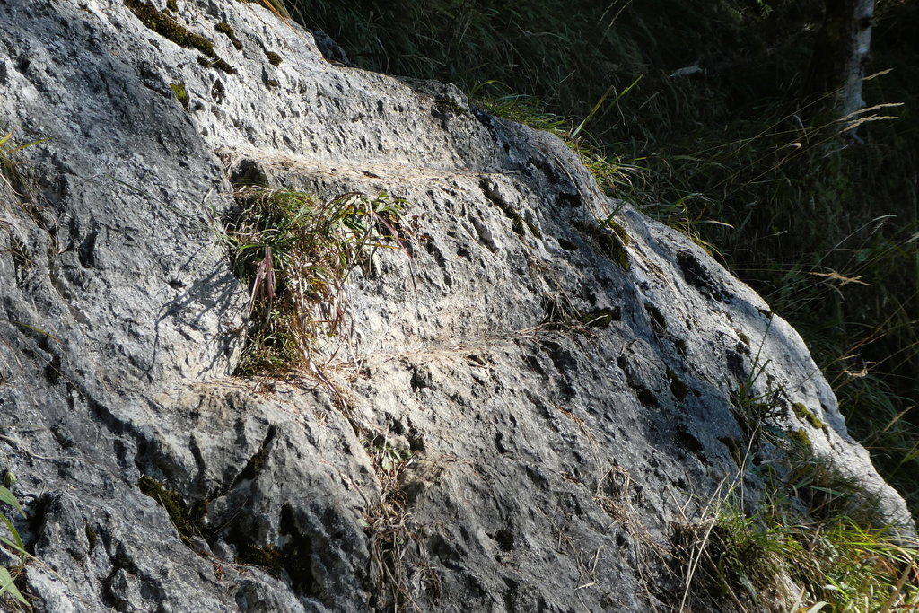 Geschlagene Stufen am Steig. Foto: Karl Plohovich