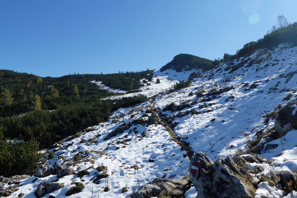 Hirschanger mit Hirschangerkopf. Foto: Karl Plohovich