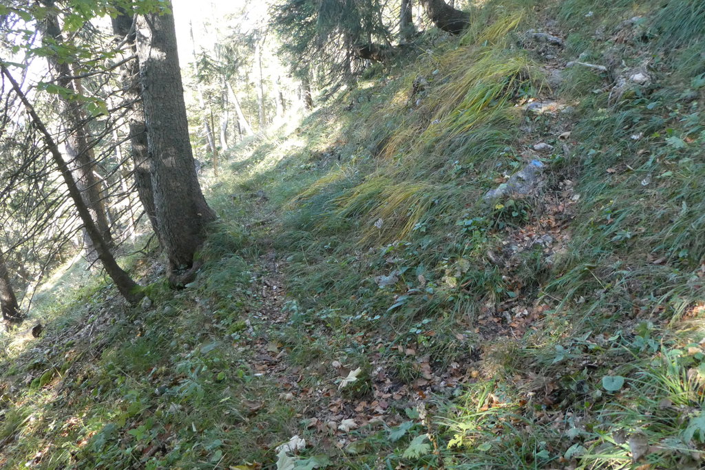 Eine der vielen Kehren des Steiges. Foto: Karl Plohovich