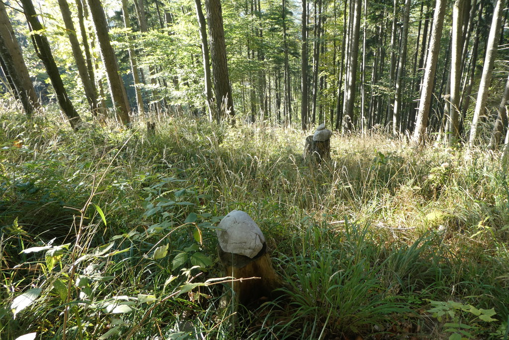 Steinmännchen. Foto: Karl Plohovich