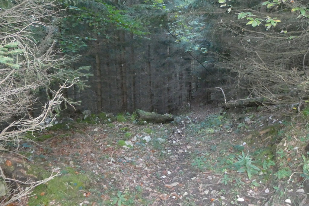 Der alte Steig. Foto: Karl Plohovich