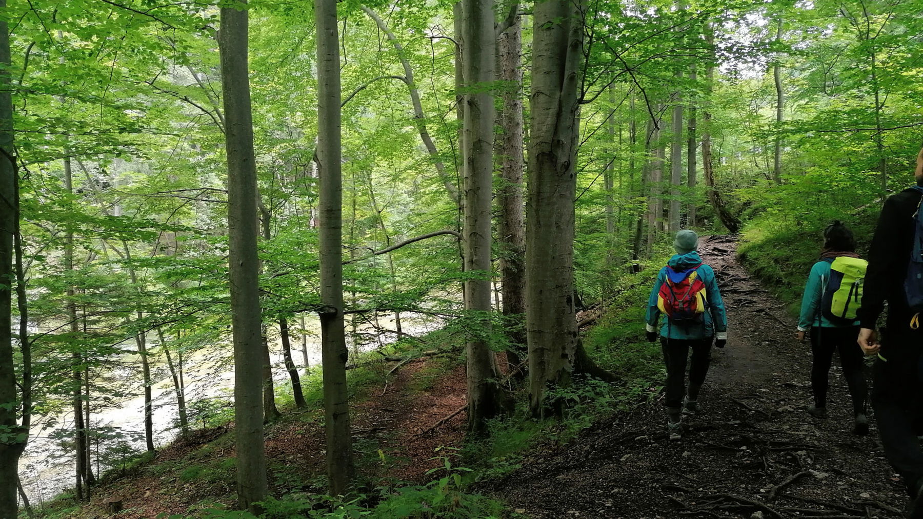 Sommerlich ist es nicht gerade, aber zumindest grün... Foto: Sarah Pallauf