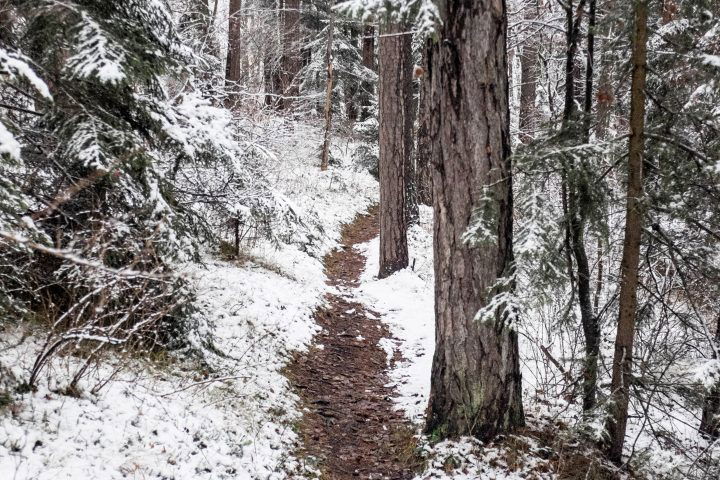 Entlang des Biedermeierweges nach Pernitz. Foto: Birgit Reiter