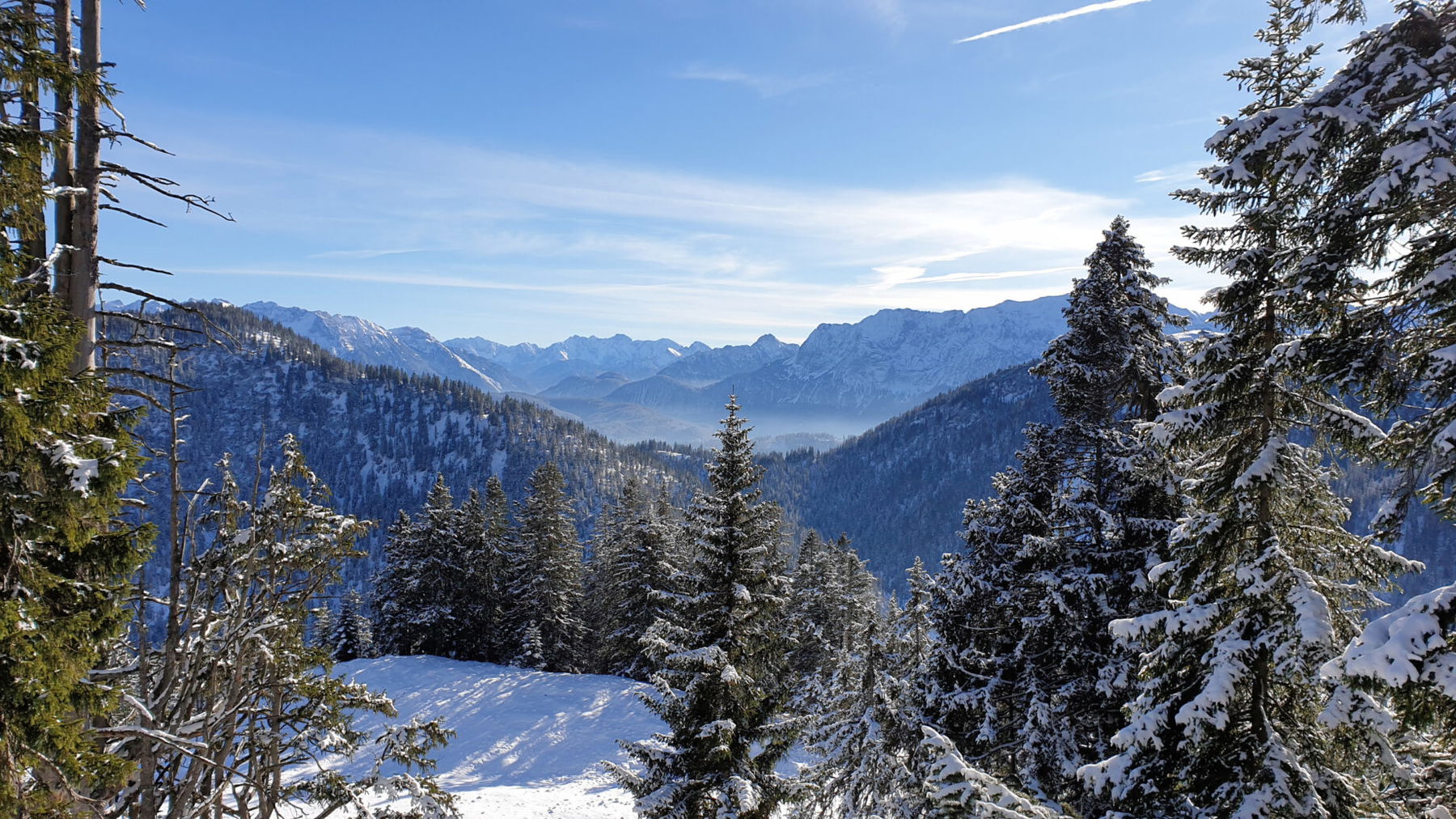 Ausblick. Foto: Markus Büchler