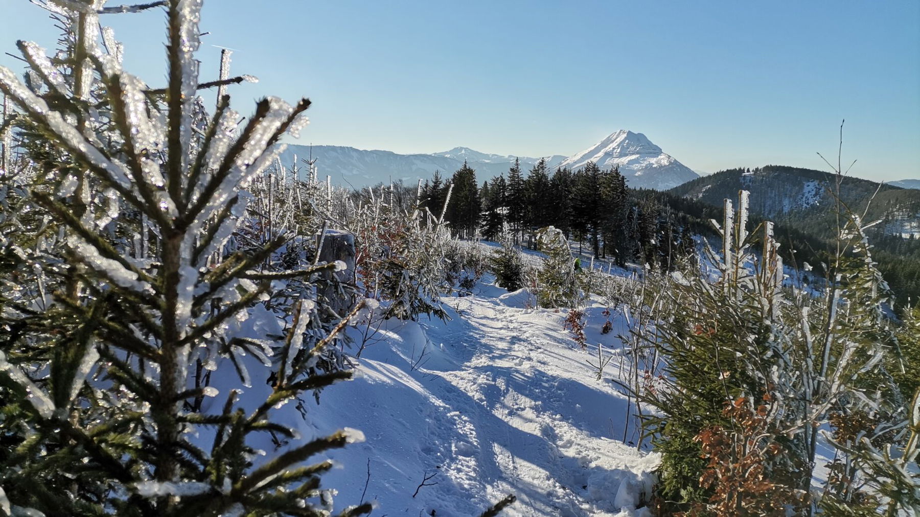 Noch immer "Frozen" am Hennesteck. Foto Veronika Schöll