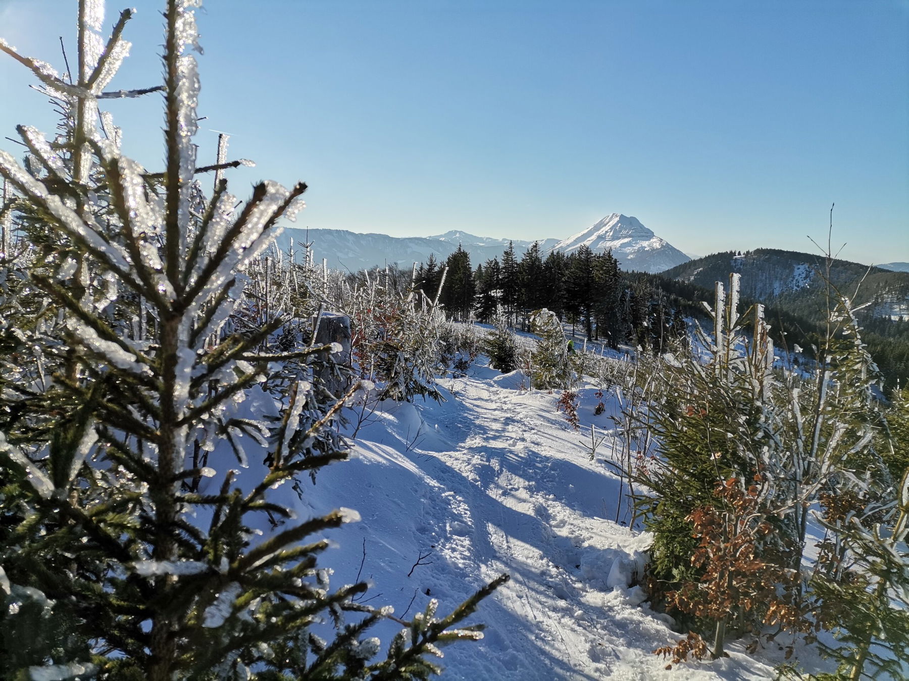 Winterfreude am Herzerlweg in Annaberg