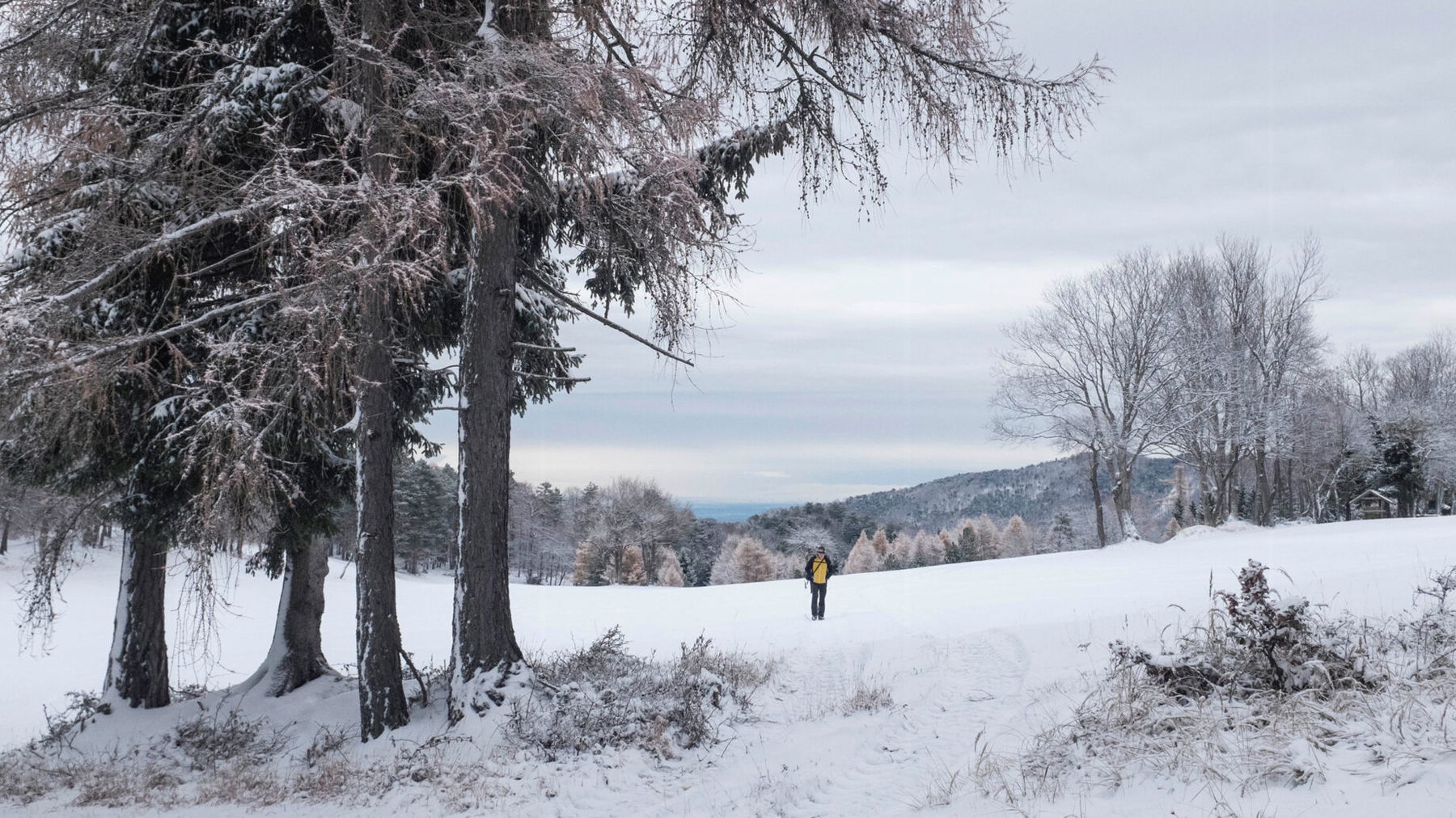 Lichtung beim roten Kreuz. Foto: Birgit Reiter