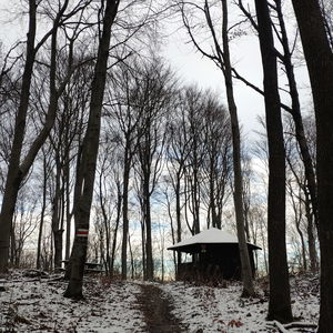 Am Wienerwald Verbindungsweg - Teil 2