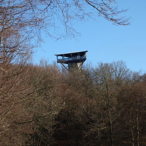 Die Warte am Buchberg