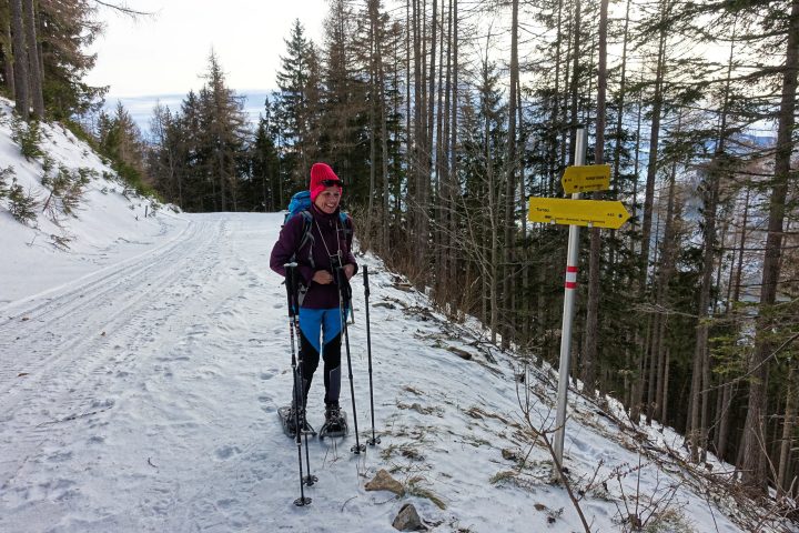 Abzweigung Wanderweg von der Forststraße. Foto: Martin Heppner