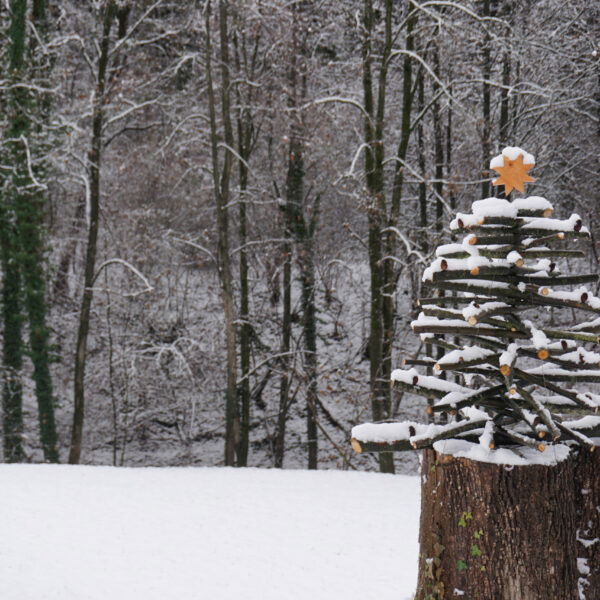 Am Falkenweg. Foto: Daniel Strohrigl