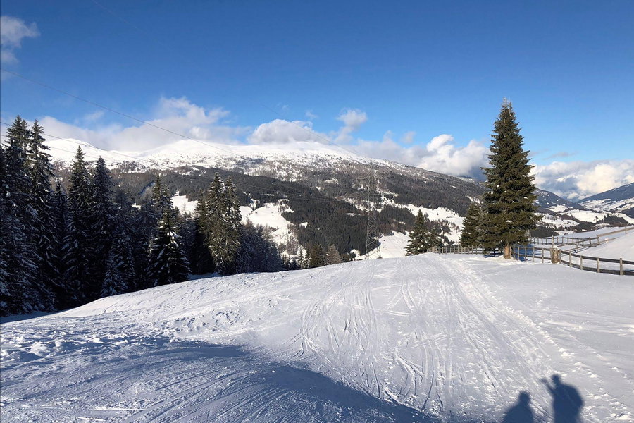 Abfahrt auf der alten Schipiste vom Sattelberg, Foto: Alexander Hedenig