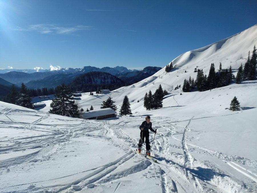 Aufstiegsspur nahe der Schönfeldalmen. Foto: Nikolaus Vogl