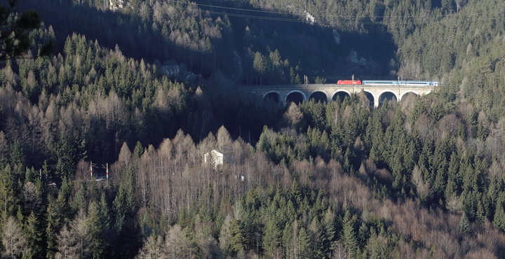 20-Schilling-Blick 2. Foto: Gerold Petritsch