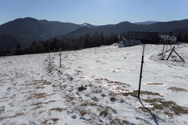 Wiesen mit glitzender Schneeauflage 1. Foto: Gerold Petritsch