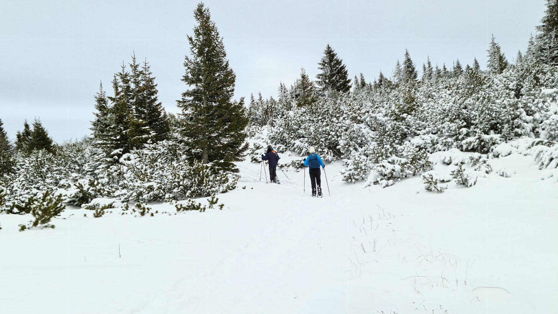 Latschengasse. Foto: Maximilian Heppner
