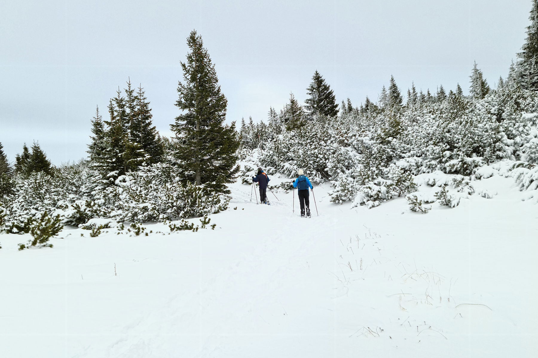Mit Schneeschuhen um den Jakobskogel