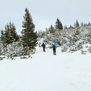 Mit Schneeschuhen um den Jakobskogel