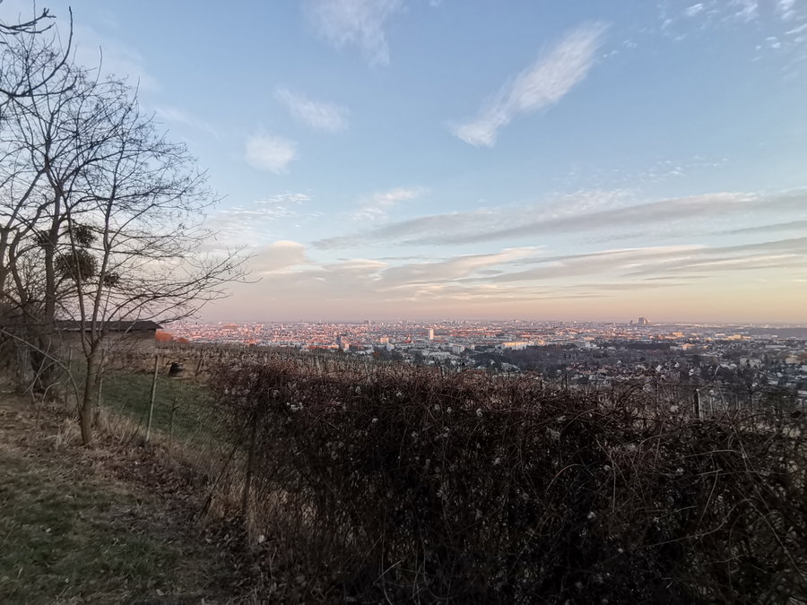 Blick vom Schlosspark am Wilhelminenberg über Wien. Foto Veronika Schöll