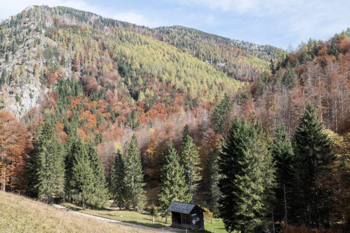 Biwakplatz Steyrsteg mit Größtenberg im Hintergrund. Foto: Birgit Reiter