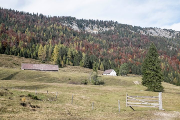 Rumpelmayrreith. Foto: Birgit Reiter