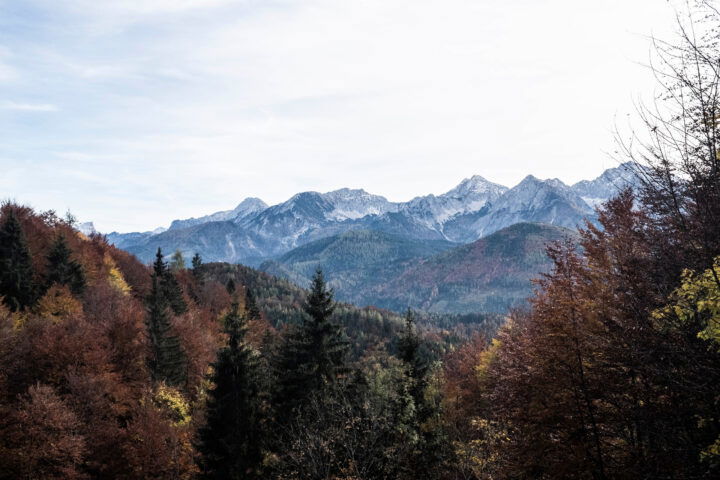 Ausblicke auf dem Weg nach Windischgarsten. Foto: Birgit Reiter