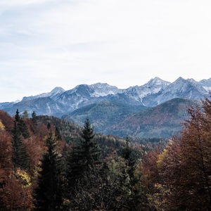 Durchquerung des Reichraminger Hintergebirges