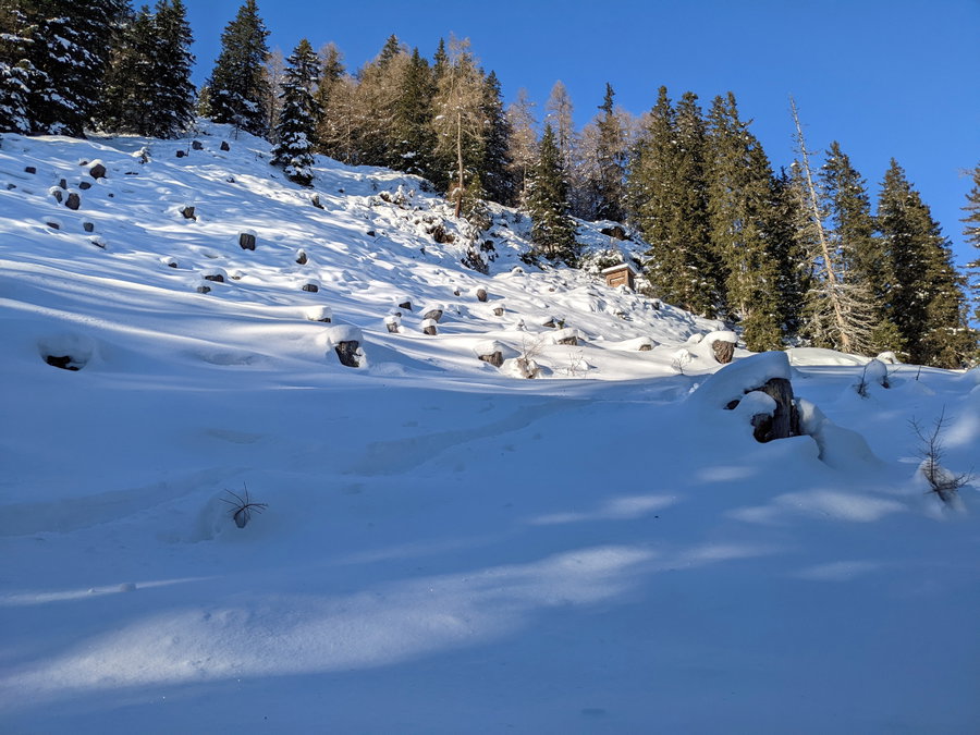 Der Hochstand in diesem Schlag bietet bei der Jagd neben guter Aussicht auf Wild wohl auch gute Aussicht auf die östliche Seite des Wipptals. Foto: Thomas Obermair